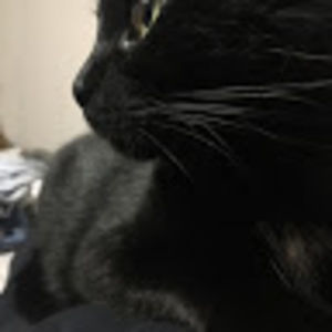 Meet your Posher, Jessie